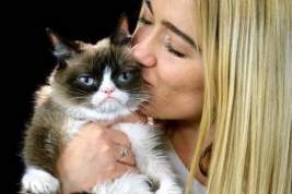 Хозяйка кошки-мема Grumpy Cat выиграла суд на 710 тысяч долларов