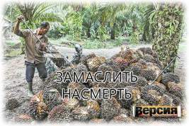 Ядовитый глицидол в пальмовом масле оставляет россиян с раком, а поставщиков со сверхприбылью