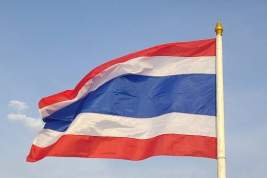 Экс-премьер Таиланда предстанет перед судом по обвинению в оскорблении короля