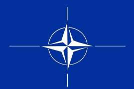Эксперт объяснил, почему Финляндия не вступит в НАТО без Швеции