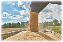 Экспорт продовольствия c Украины обогащает транснационалов