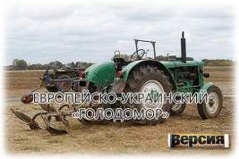 Экспорта украинской сельскохозяйственной продукции в этом году не будет