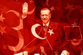 Эрдоган: исламофобию следует приравнять к антисемитизму