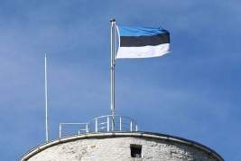 Эстонская армия обзавелась подразделением для борьбы с «русскими хакерами»