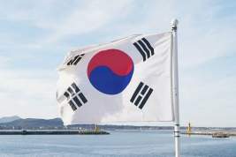 Южная Корея задумалась о введении антироссийских санкций