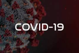 За сутки в Индии выявлено около 10 тысяч новых случаев COVID-19