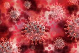За сутки в России зарегистрировано 5102 новых случая заражения коронавирусом и 129 летальных исходов