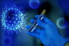 За сутки в России зарегистрировано 24 326 случаев заражения коронавирусом и 491 летальный исход