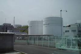 Захарова отреагировала на начало сброса воды с «Фукусимы-1»