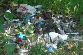Жители Липецка пожаловались президенту на проблему с вывозом мусора