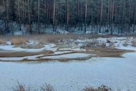 Жители Свердловской области пожаловались на слив фекалий в реку Пышма