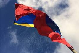 Жители Венесуэлы проголосовали за присоединение двух третей соседней Гайаны