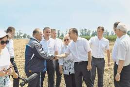 Житница России готовится собрать 15 миллионов тонн зерна