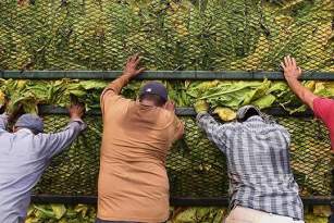 Борьба с неравенством изнутри