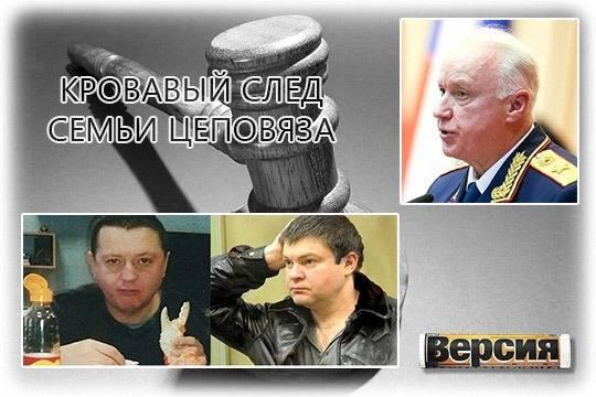 Александр Бастрыкин запросил материалы по Федору Стрельцову и Наталье Стришней