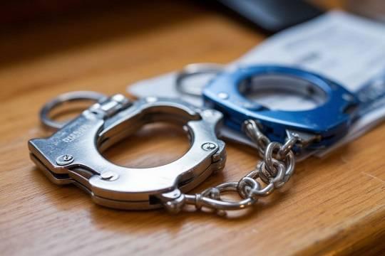 Брянского вице-губернатора Симоненко арестовали из-за зубов дракона