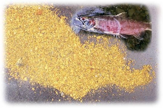 Действия камчатских золотодобытчиков ставят под угрозу реализацию нацпроекта «Экология» (фото: commons.wikimedia.org/James St. John)
