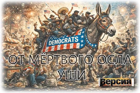 Демократы могут остаться без поддержки нелегалов