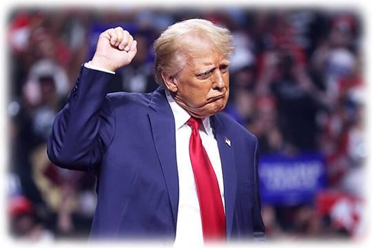 Демократы настаивают на безумии Трампа