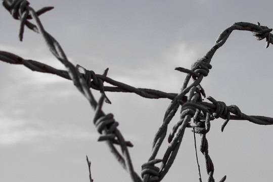 Фигурантка дела об убийстве Станислава Маркелова и Анастасии Бабуровой Евгения Хасис вышла из колонии в Мордовии