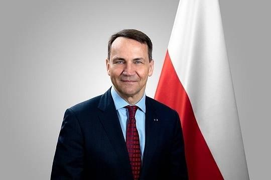 Глава МИД Польши Сикорский рассказал об одной особенности упавших в стране дронов