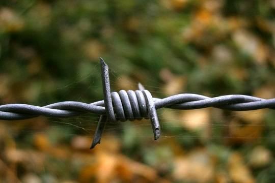 Госдума ужесточила наказание за дезертирство для бывших заключённых