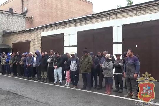 Группу нелегальных мигрантов накрыли в тепличном комплексе под Жуковским