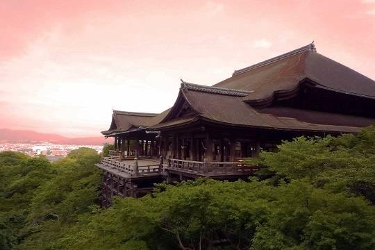 Иероглиф со значением медведь выбрали символом 2025 года