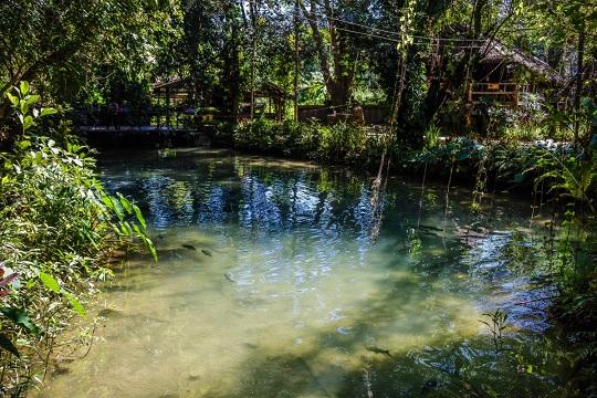 Индийский подросток вынужден постоянно находиться в воде из-за странной болезни
