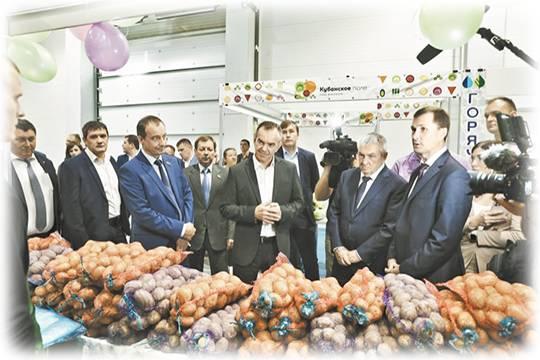 Краснодарский край снова подтвердил статус гаранта продовольственной безопасности страны