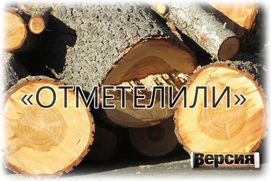 Зятя экс-губернатора Красноярского края Александра Усса подозревают в организации избиения лесничего