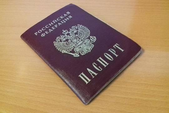 Названо число лишившихся гражданства РФ иностранцев за последние шесть месяцев