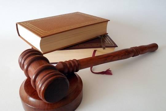 Подозреваемого в расправе над школьницей в Ульяновской области поместили под домашний арест