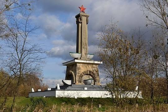 Польские власти планируют снести 60 памятников советским солдатам