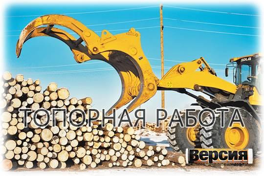 Ради отдыха богачей на берегах Байкала хотят вырубить деревья