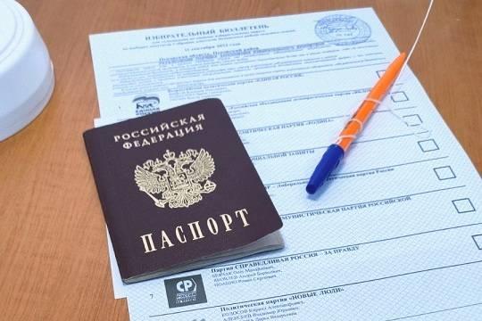 Раскрыто число успевших проголосовать на выборах разного уровня российских граждан