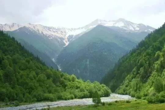 Референдум о присоединении Южной Осетии к России могут подготовить к лету