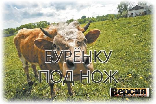Региональные законодатели разоряют российскую деревню