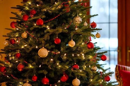 Российские компании назвали предпочтительную продолжительность новогодних каникул