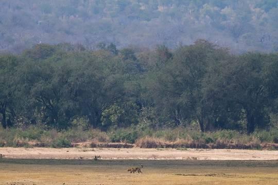Туристы из России смогут поехать в четыре африканские страны без визы