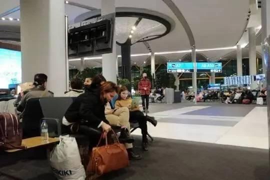 Россиянка с инвалидностью обвинила Turkish Airlines в издевательствах в аэропорту Стамбула