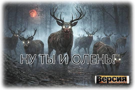 Смертельная болезнь зомби-парнокопытных может угрожать человечеству