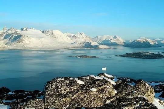 Союзники США не видят существенных отличий в новом предложении по Гренландии