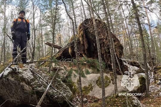 Спасатели продолжают поиски пропавшей в Красноярском крае семьи с маленьким ребёнком