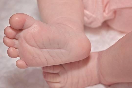 Стало известно о планах властей по перезагрузке маткапитала