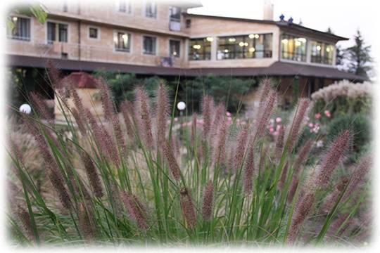 Термы: старт высокого сезона