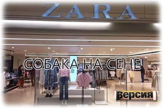          Zara, Bershka     Inditex