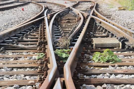 Троих погибших под Орлом росгвардейцев наградят посмертно