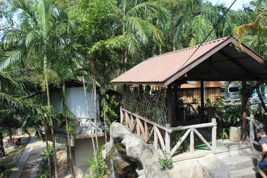 Туристов из России разворачивают при попытке въехать в Таиланд