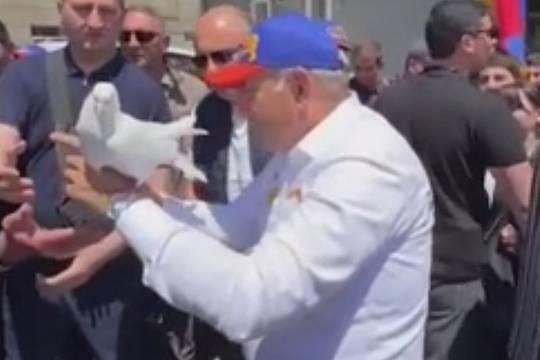 У Пашиняна не получилось запустить голубя мира